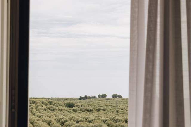 Dettaglio panoramico