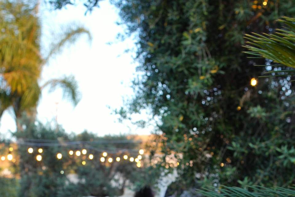 Real wedding