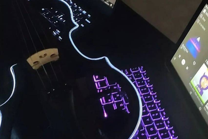 LED elettric violin