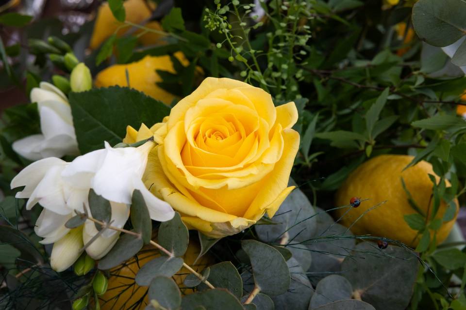 Fiori