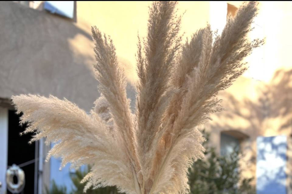 Allestimenti