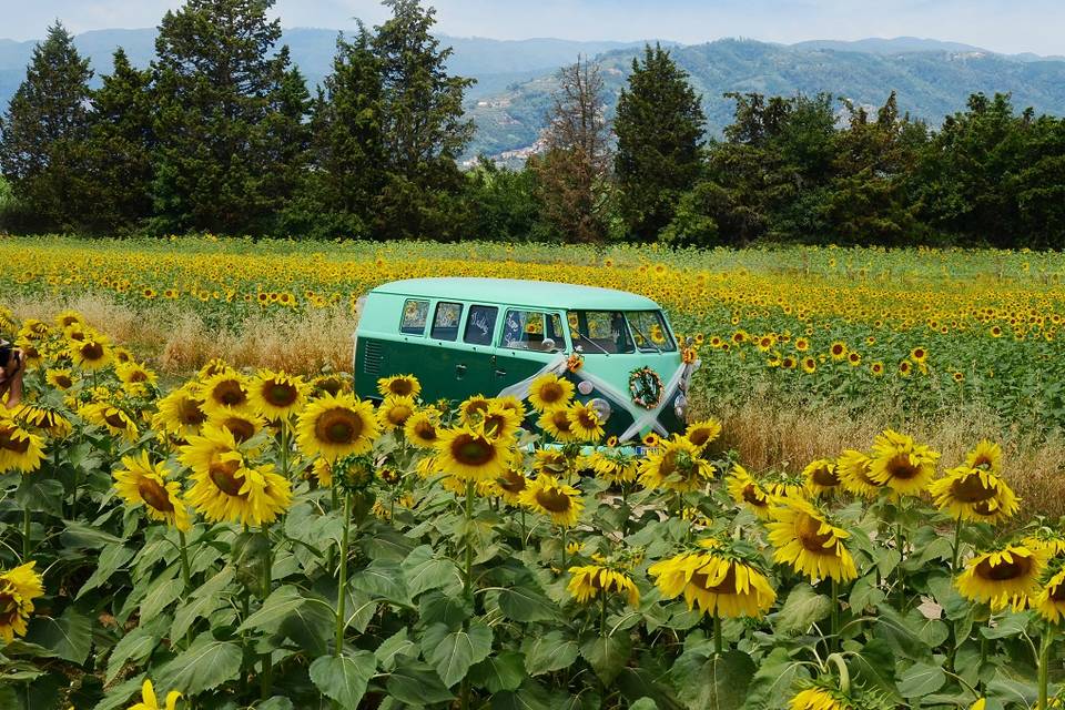 Wedding Bus