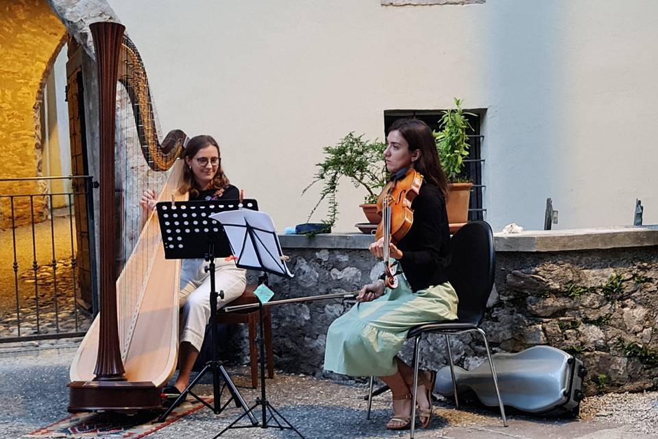 Arpa e violino