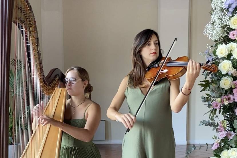 Arpa e violino - Villa Avanzi