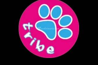 Tribe Animazione