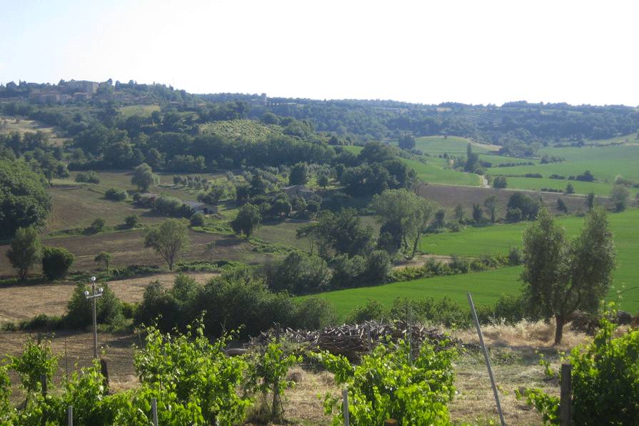 Fattoria La Cacciata