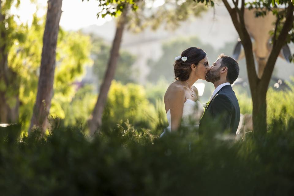 Marcello Bocchieri | Wedding