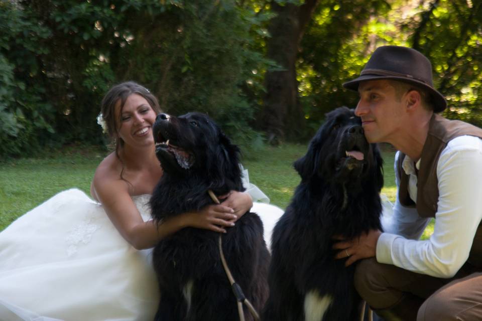 Orma di Maya - Wedding Pet Sitter