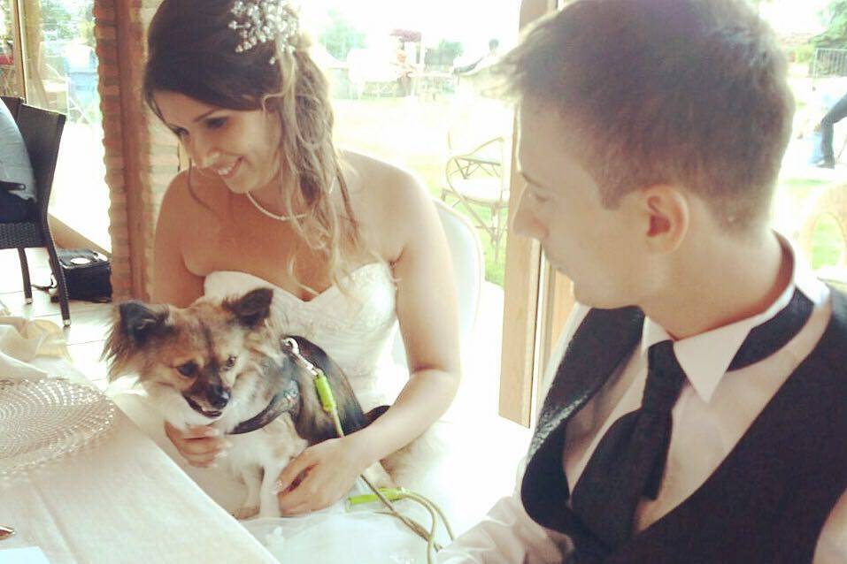 Orma di Maya - Wedding Pet Sitter