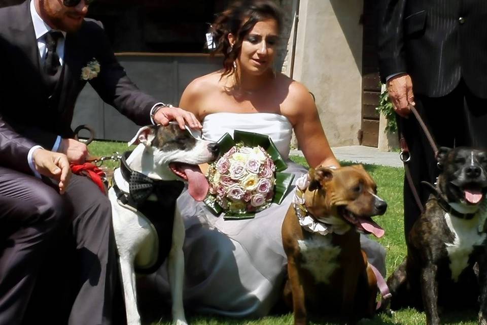 Orma di Maya - Wedding Pet Sitter