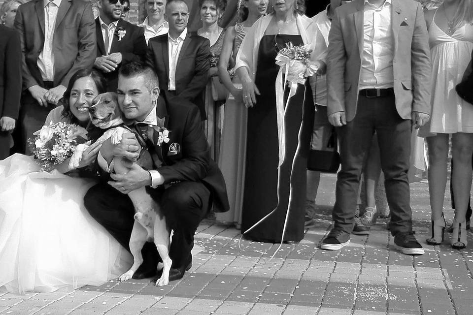 Orma di Maya - Wedding Pet Sitter