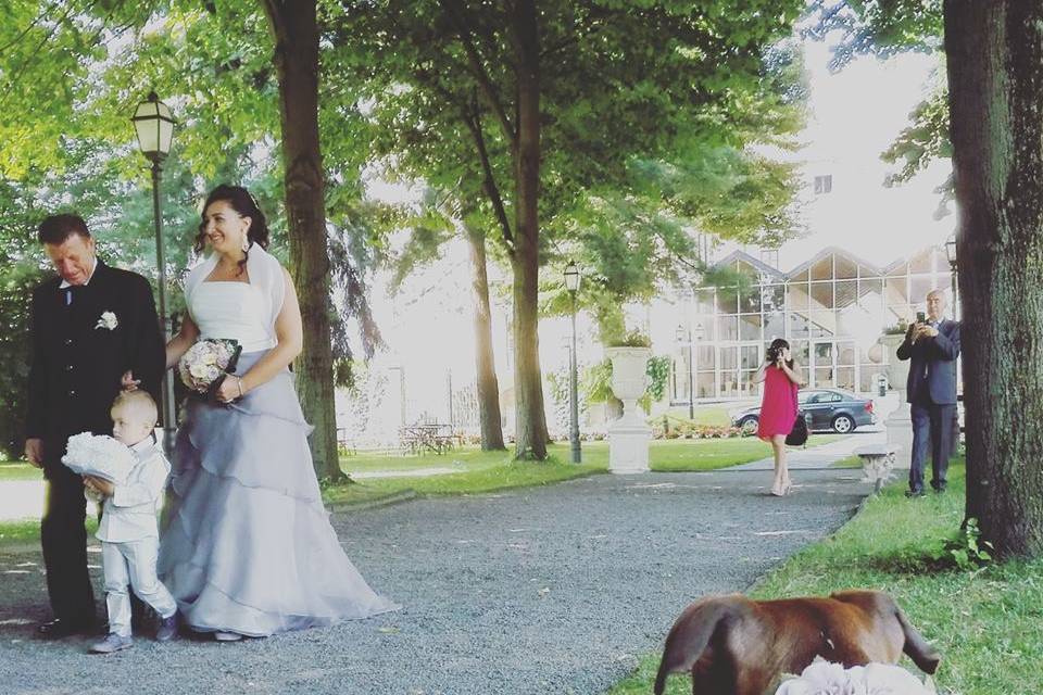 Orma di Maya - Wedding Pet Sitter