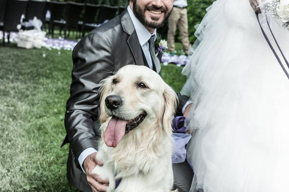 Orma di Maya - Wedding Pet Sitter