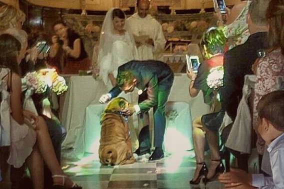 Orma di Maya - Wedding Pet Sitter