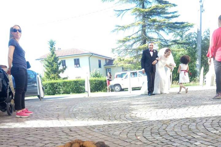 Orma di Maya - Wedding Pet Sitter