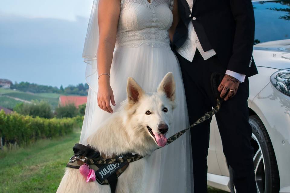 Orma di Maya - Wedding Pet Sitter