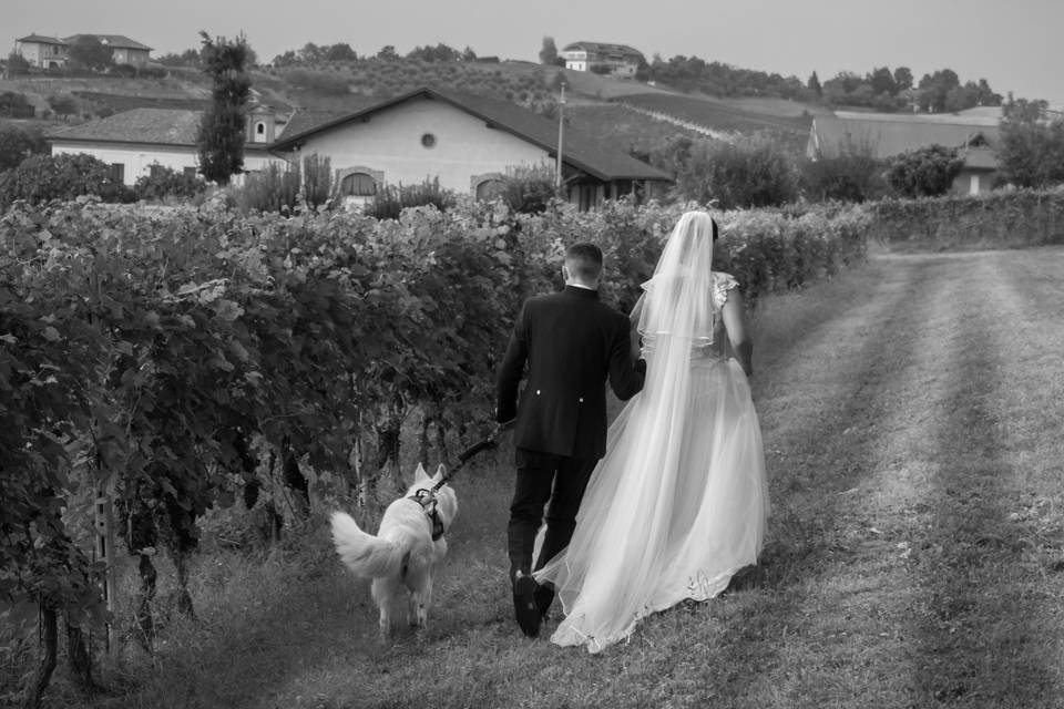 Orma di Maya - Wedding Pet Sitter