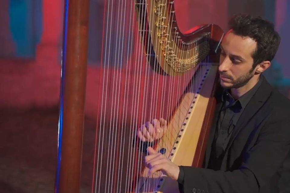 Fabio rizza harpist