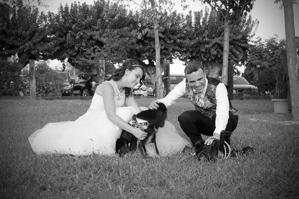 Orma di Maya - Wedding Pet Sitter