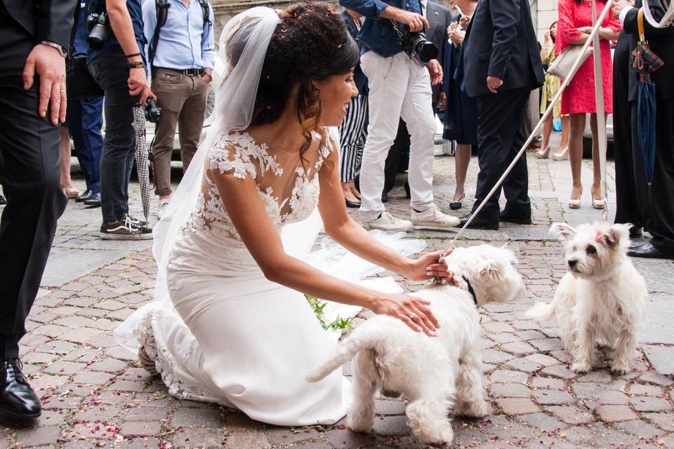 Orma di Maya - Wedding Pet Sitter