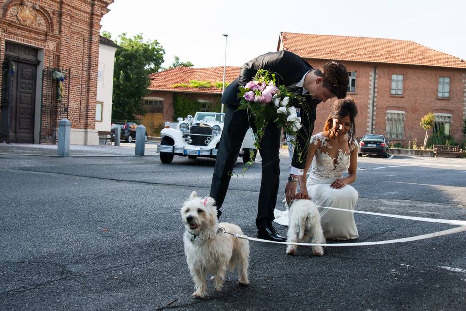 Orma di Maya - Wedding Pet Sitter