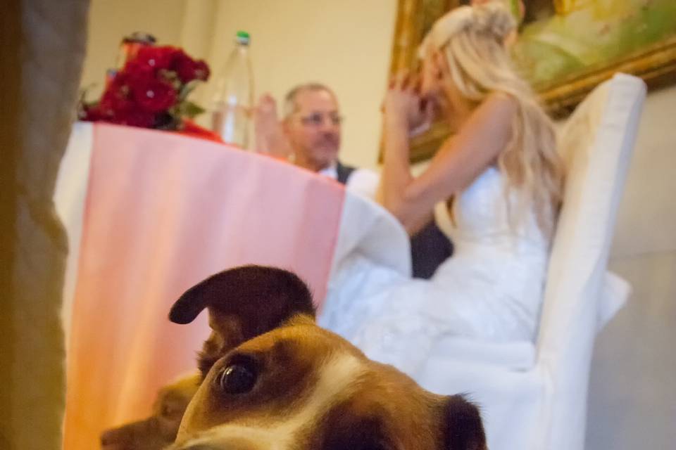 Orma di Maya - Wedding Pet Sitter