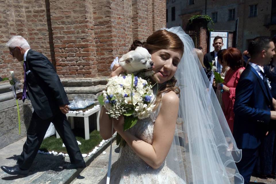 Orma di Maya - Wedding Pet Sitter