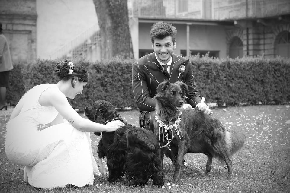 Orma di Maya - Wedding Pet Sitter