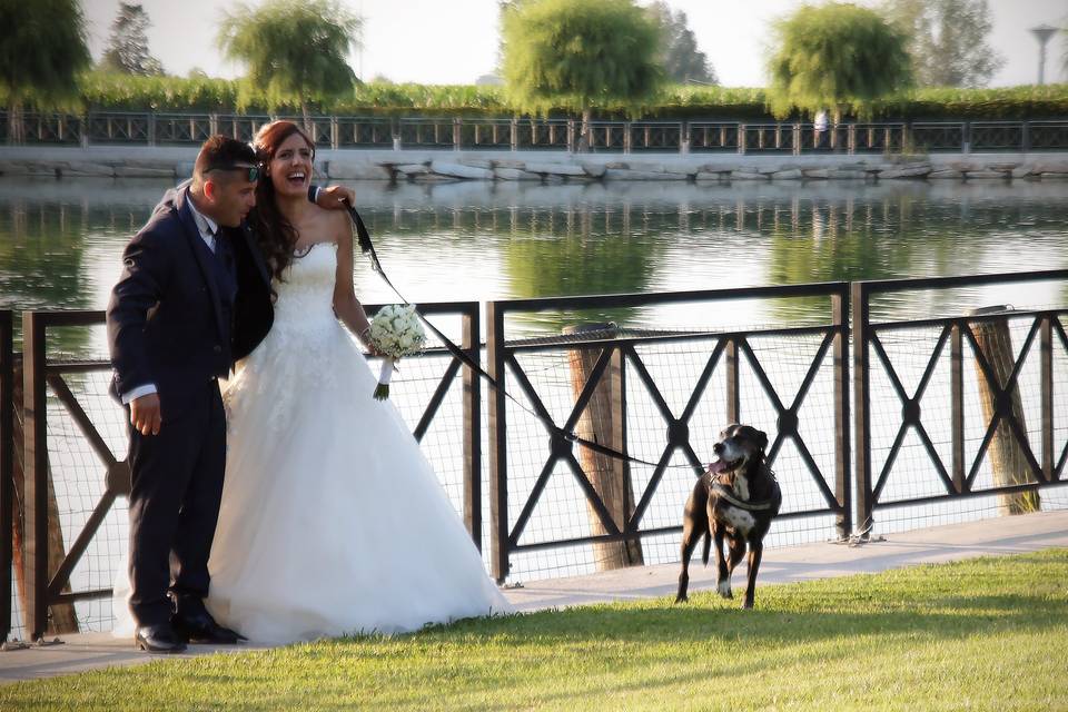 Orma di Maya - Wedding Pet Sitter