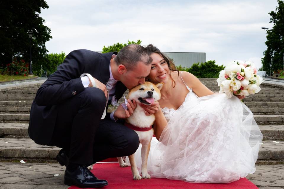 Orma di Maya - Wedding Pet Sitter