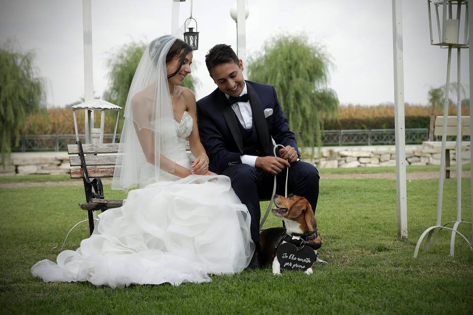 Orma di Maya - Wedding Pet Sitter