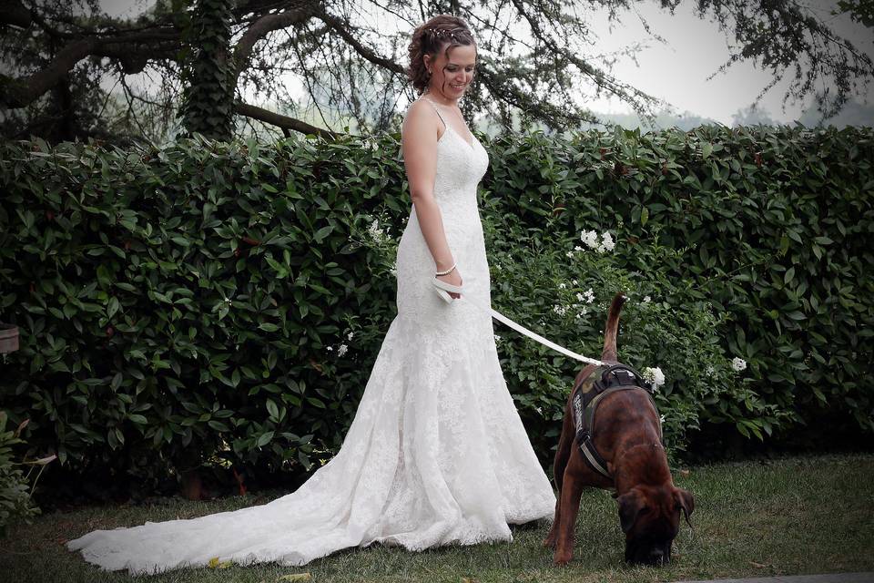 Orma di Maya - Wedding Pet Sitter