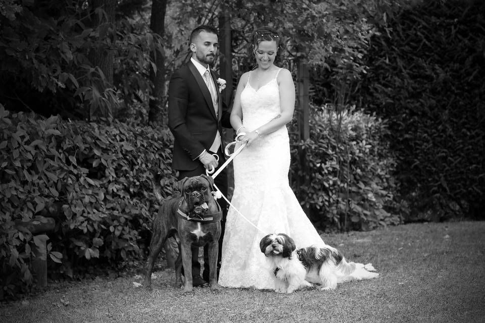 Orma di Maya - Wedding Pet Sitter