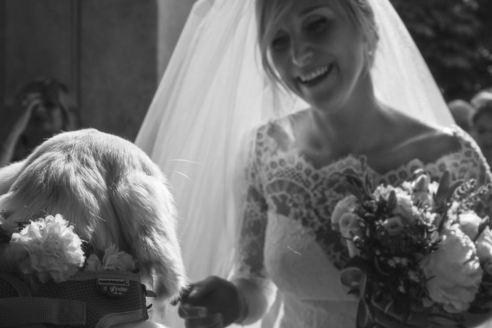 Orma di Maya - Wedding Pet Sitter