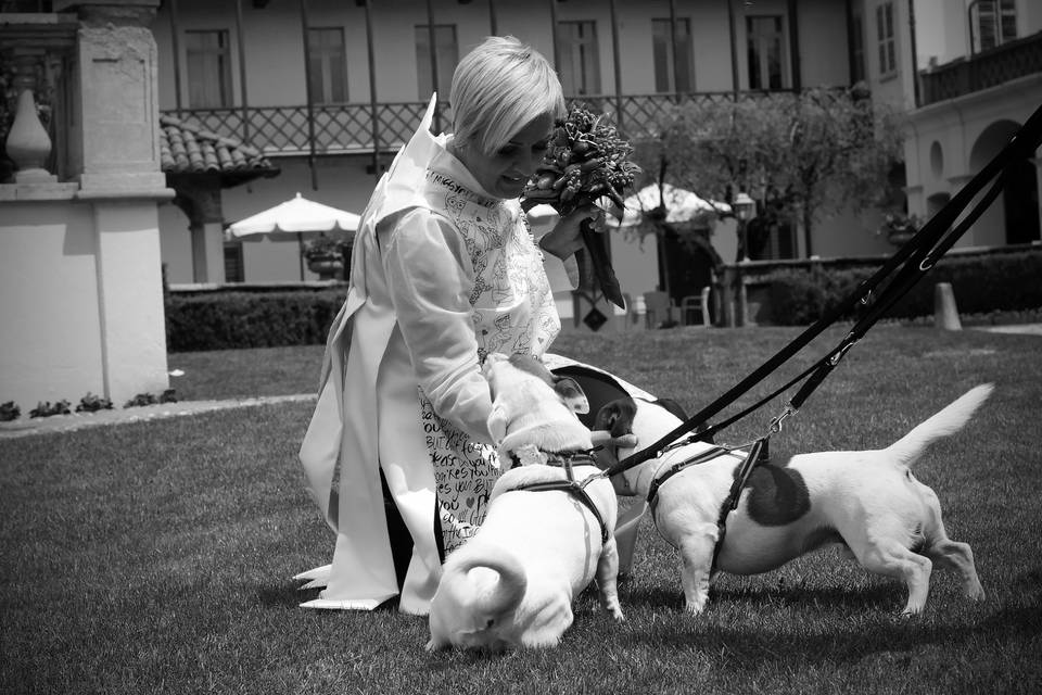 Orma di Maya - Wedding Pet Sitter