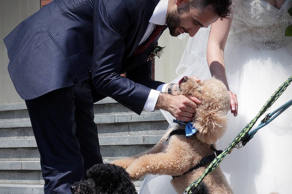 Orma di Maya - Wedding Pet Sitter