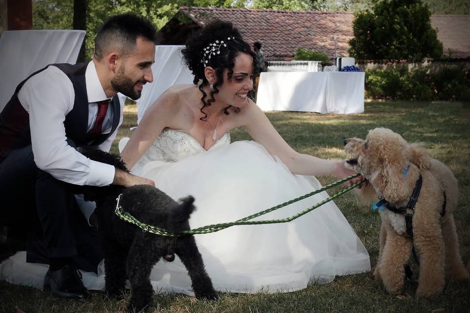 Orma di Maya - Wedding Pet Sitter