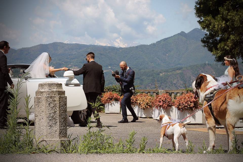 Orma di Maya - Wedding Pet Sitter