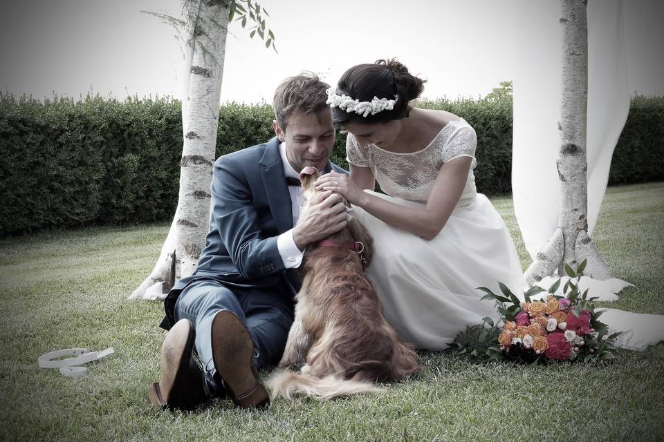 Orma di Maya - Wedding Pet Sitter