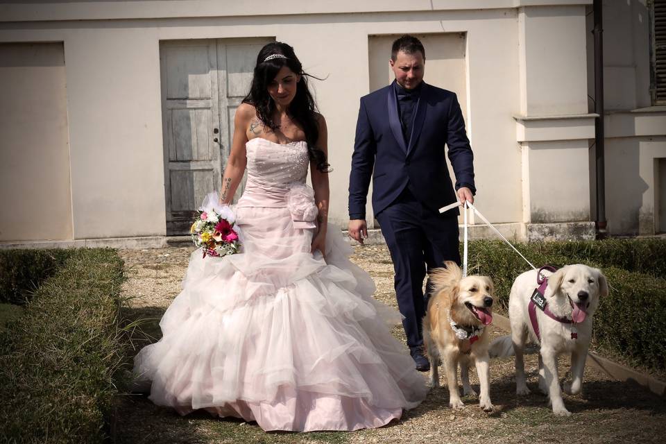 Orma di Maya - Wedding Pet Sitter