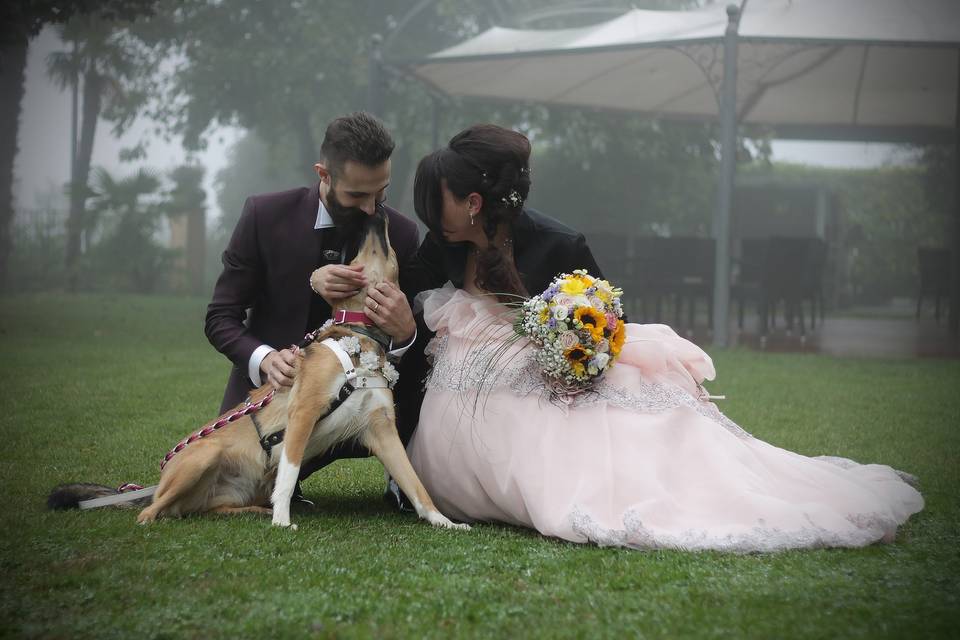 Orma di Maya - Wedding Pet Sitter