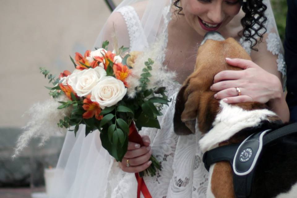 Orma di Maya - Wedding Pet Sitter