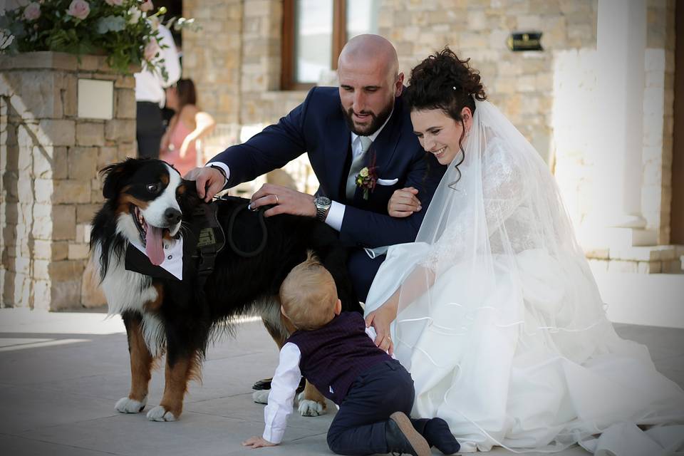 Orma di Maya - Wedding Pet Sitter