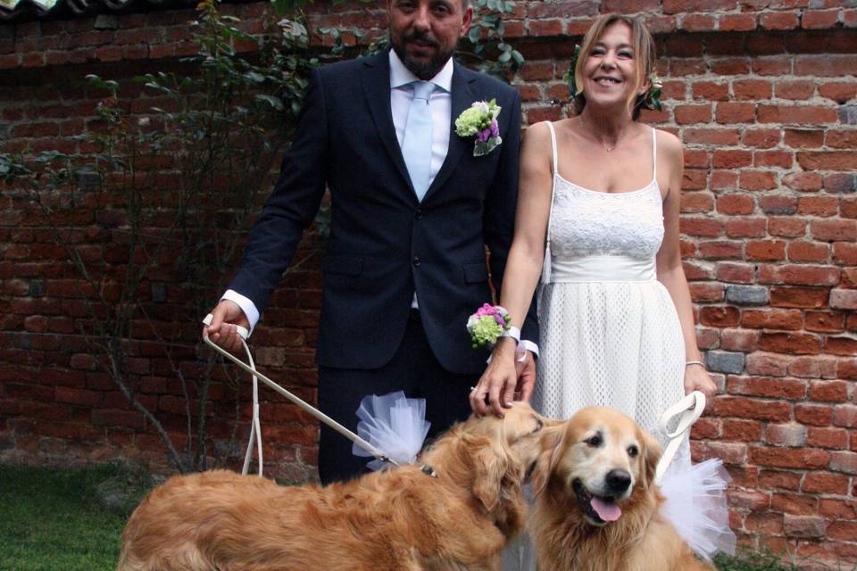 Orma di Maya - Wedding Pet Sitter