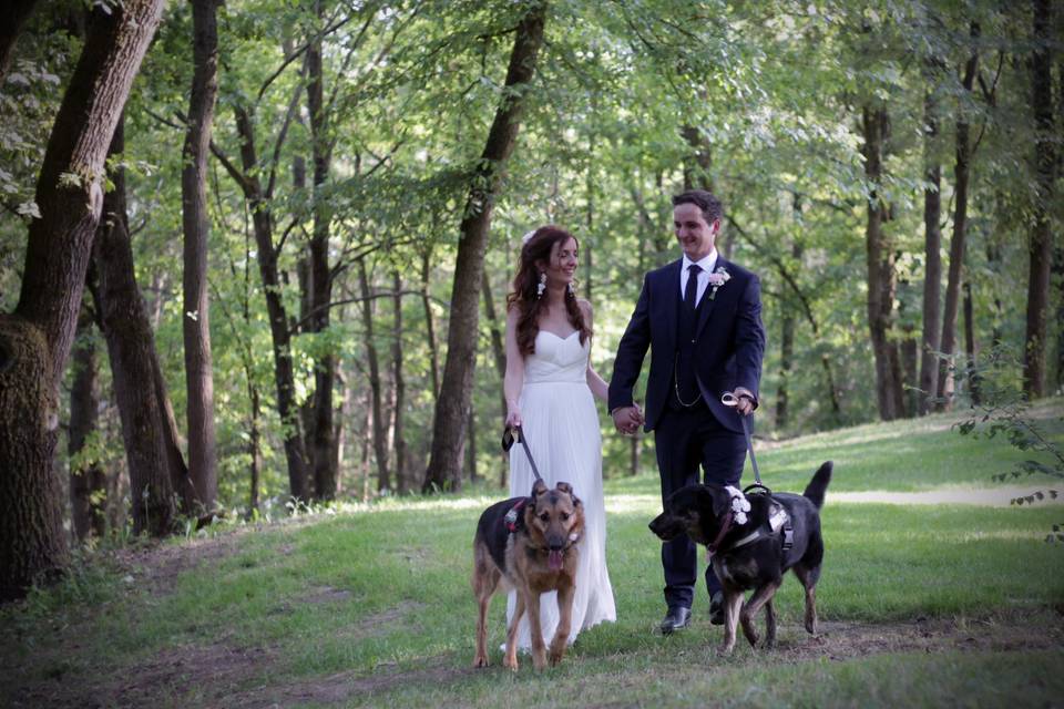 Orma di Maya - Wedding Pet Sitter