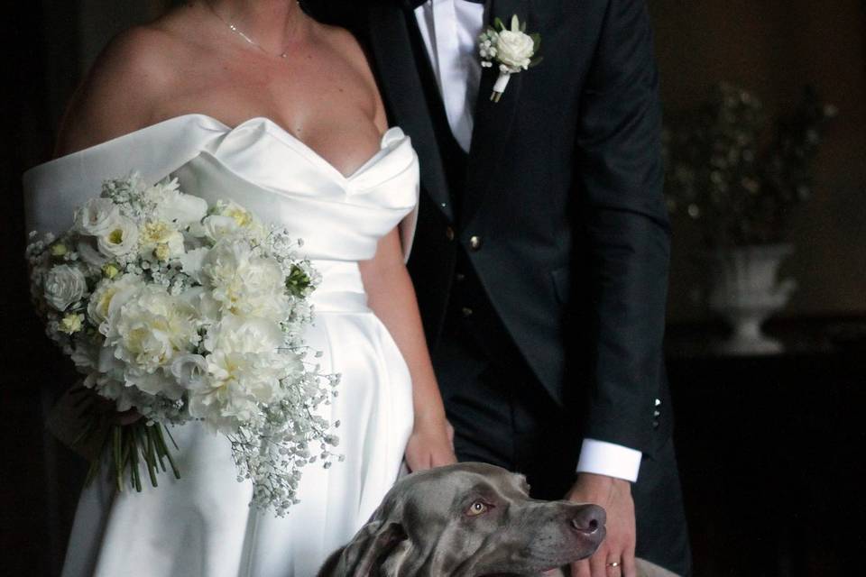 Orma di Maya - Wedding Pet Sitter