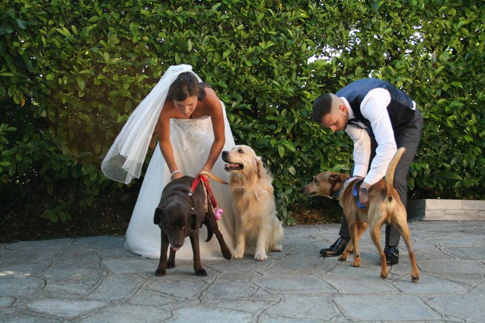 Orma di Maya - Wedding Pet Sitter