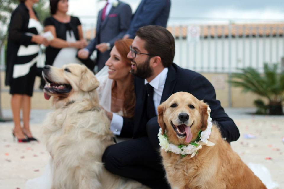 Orma di Maya - Wedding Pet Sitter