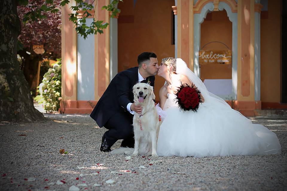 Orma di Maya - Wedding Pet Sitter