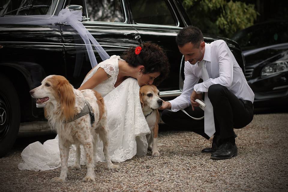 Orma di Maya - Wedding Pet Sitter